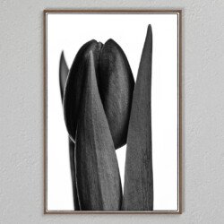 Icoon Xs 4 Alma , statue of a tulip , Margo de Wijk