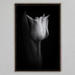 Icoon Xs 7 Devine , statue of a tulip , Margo de Wijk