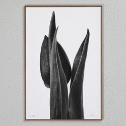 Icoon Xs 3 Hide and seek , statue of a tulip , tulpen , botanic art , Margo de Wijk