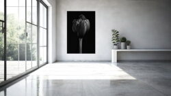 Tulpen uit Amsterdam , interieur