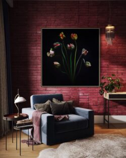 mooie bloemen fotografie , kunst , rood interieur