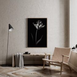 papagaai tulp , kunst , fine art druk , limited edition